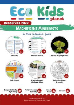 Maginificent Minibeasts