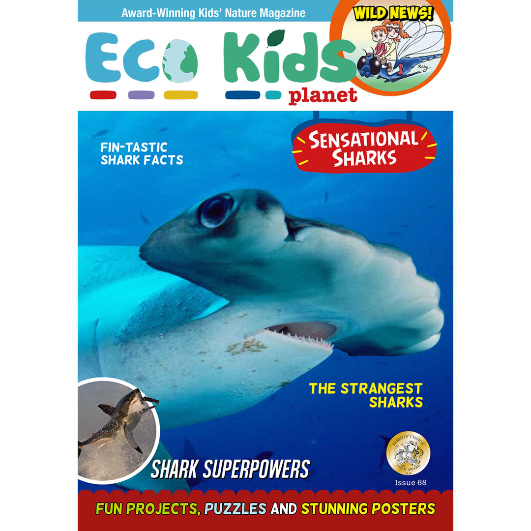 Sea Creatures Collection