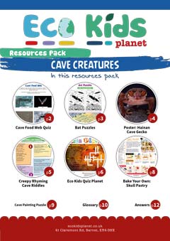 Resource pack for issue 72, Cave Creatures