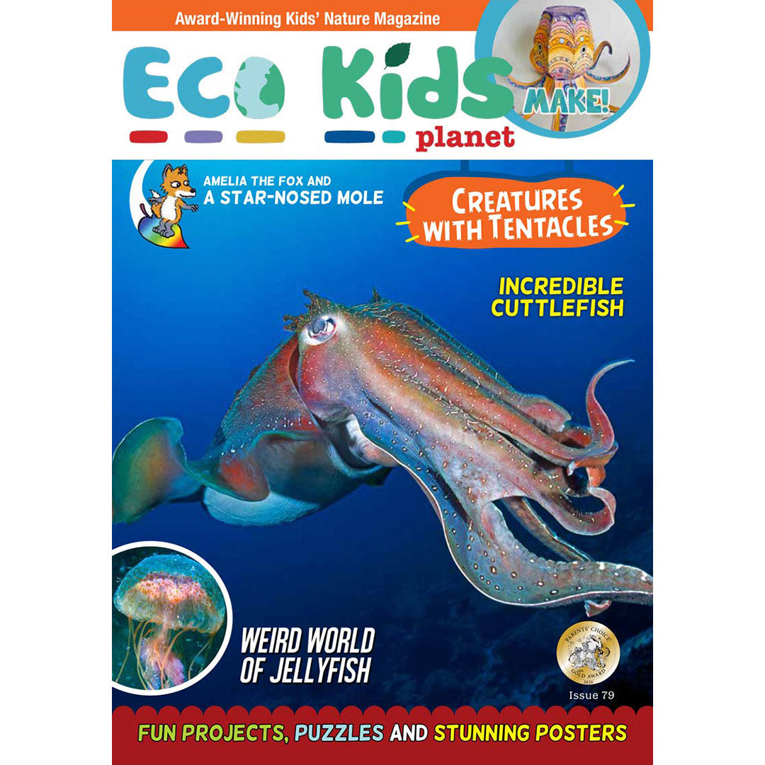 Sea Creatures Collection