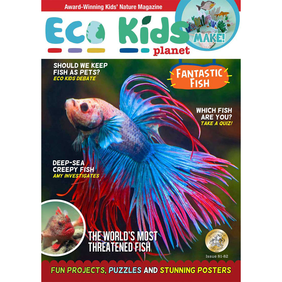 Sea Creatures Collection