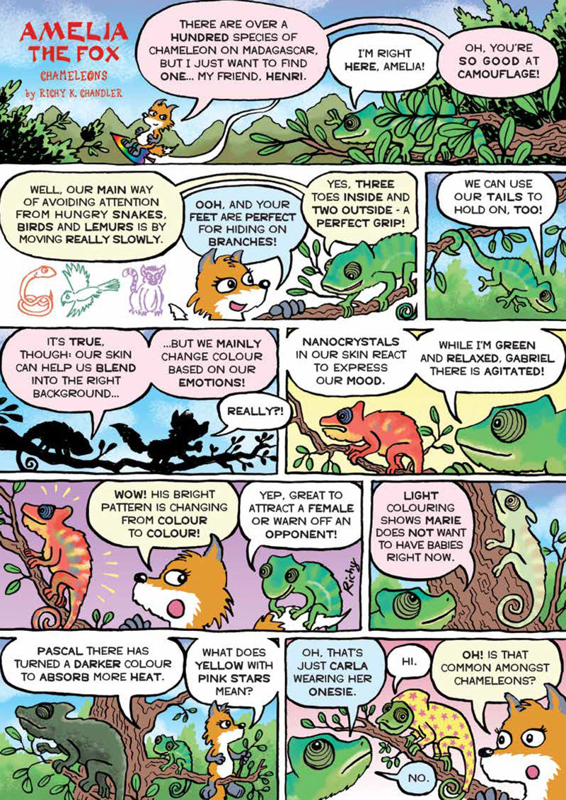 Kid&#39;s Nature Magazines – Issue 83 –  Reptiles Rock!