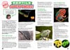 Kid&#39;s Nature Magazines – Issue 83 –  Reptiles Rock!