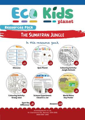 The Sumatran Jungle