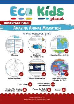 Amazing Animal Migration