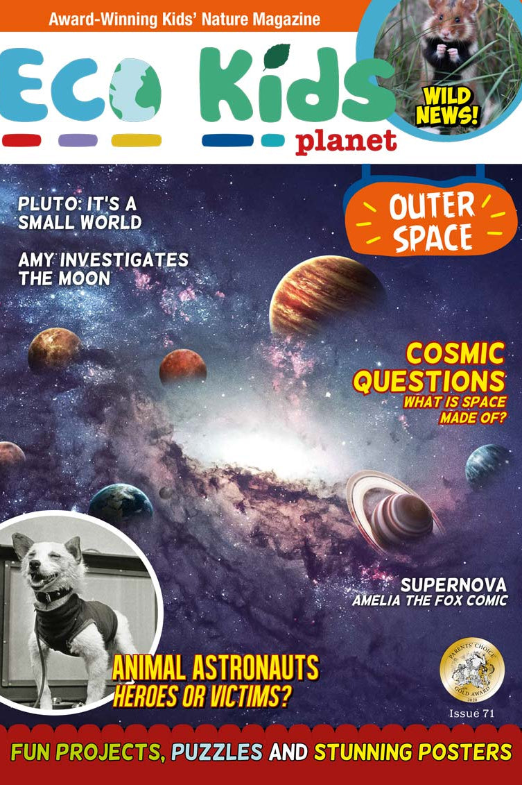 Eco Kids Planet – Issue 71 – Outer Space