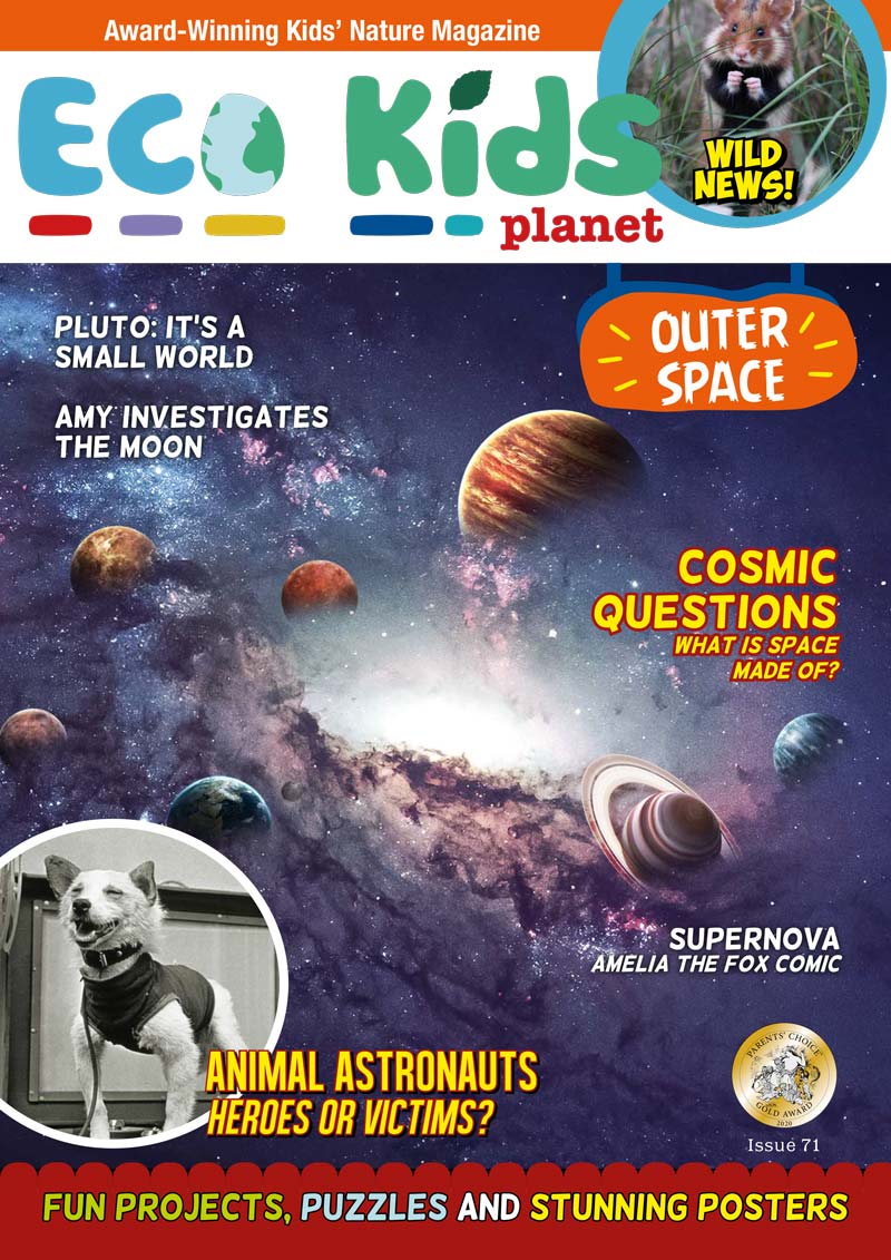 Eco Kids Planet – Issue 71 – Outer Space