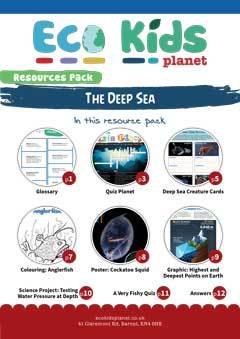 The Deep Sea