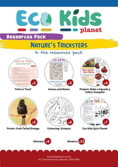 Resource pack for issue 96, Nature's Tricksters
