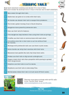 Global Adventures Activity Book