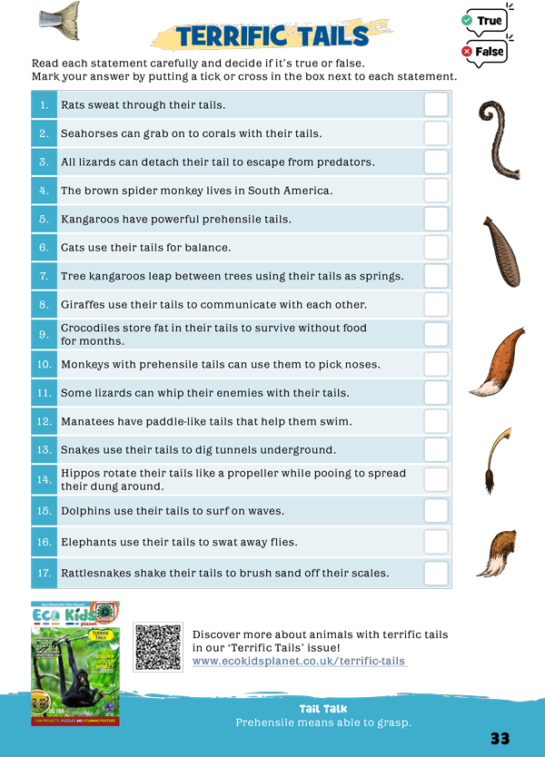 Global Adventures Activity Book