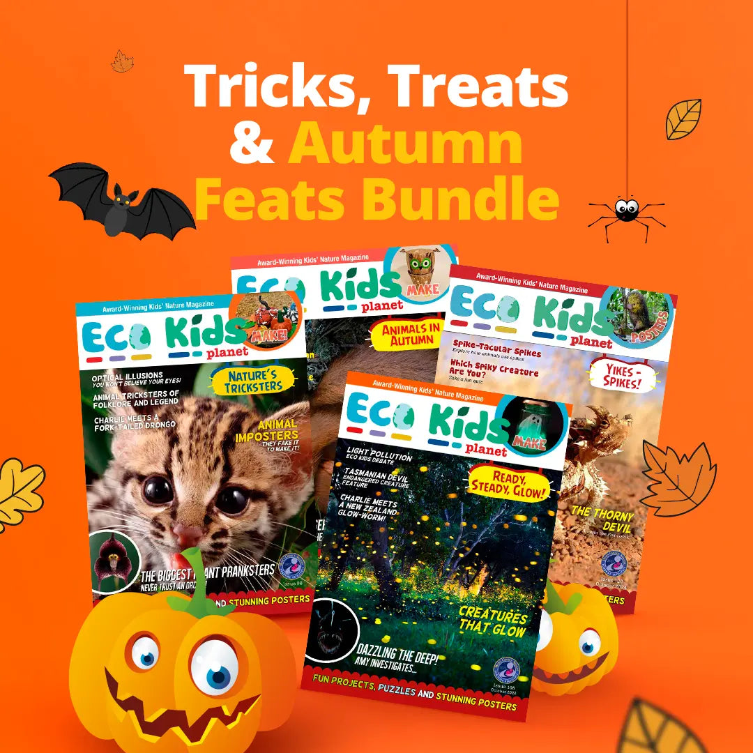 Tricks, Treats & Autumn Feats Bundle - 40% Off