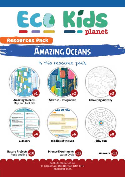 The Amazing Oceans