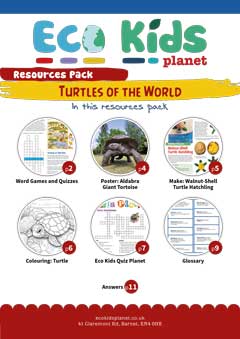 Resource pack for issue 104, Turtles of the World