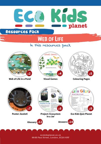 Resource pack for issue 129-130, Web of Life