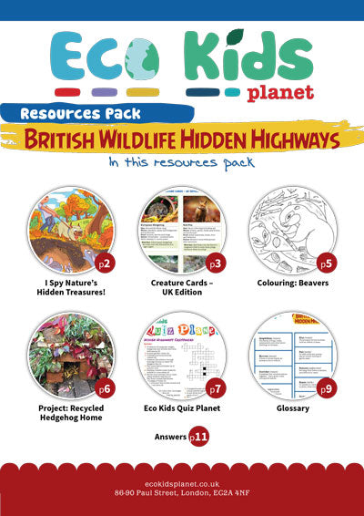 Resource pack for issue 133, British Wildlife Hidden Highways