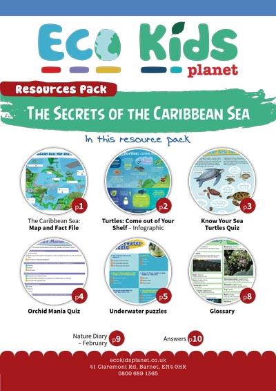 Secrets of the Carribean Sea