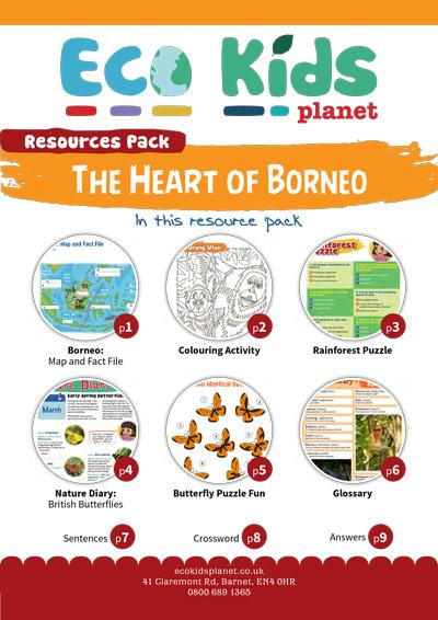 The Heart of Borneo