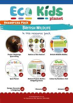 British Wildlife
