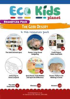 The Gobi Desert