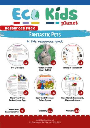 Fantastic Pets