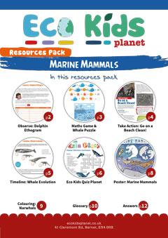 Marine Mammals