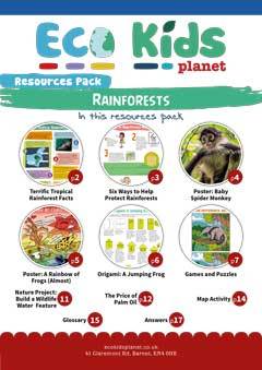 Rainforests
