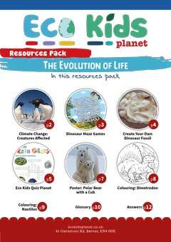 The Evolution of Life