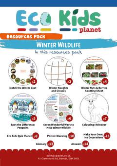 Winter Wildlife