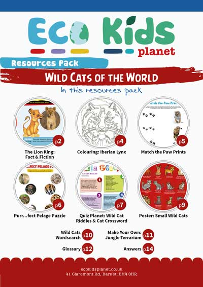 Wild Cats of the World