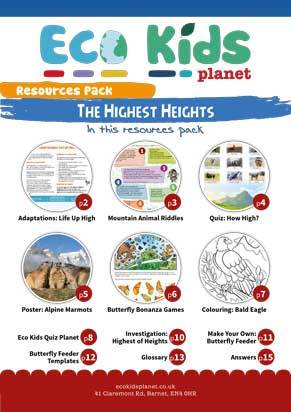 The Highest Heights