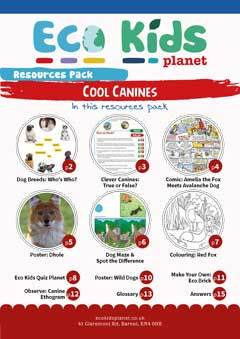 Cool Canines