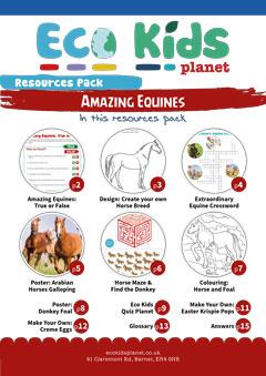 Amazing Equines