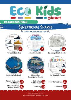 Resource pack for issue 68, Sensational Sharks