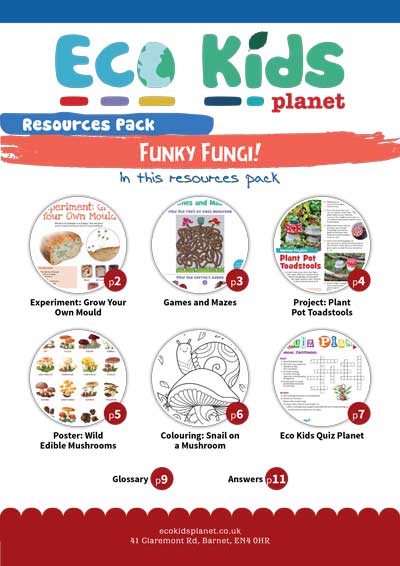 Resource pack for issue 95, Funky Fungi!
