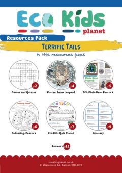 Resource pack for issue 102, Terrific Tails