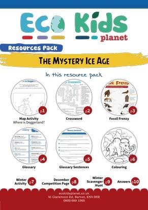 The Mystery Ice Age