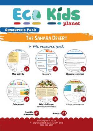 The Sahara Desert