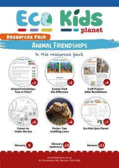 The Animal Friendships