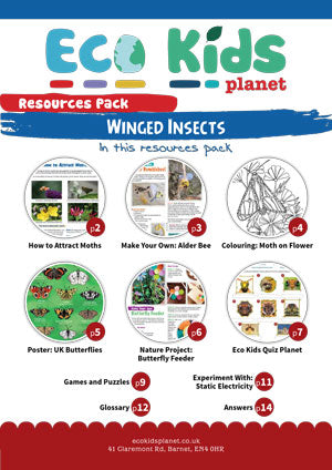 Resource pack for issue 78, Winged Insects