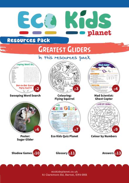 Resource pack for issue 84, Greatest Gliders