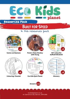 Resource pack for issue 101, Built for Speed