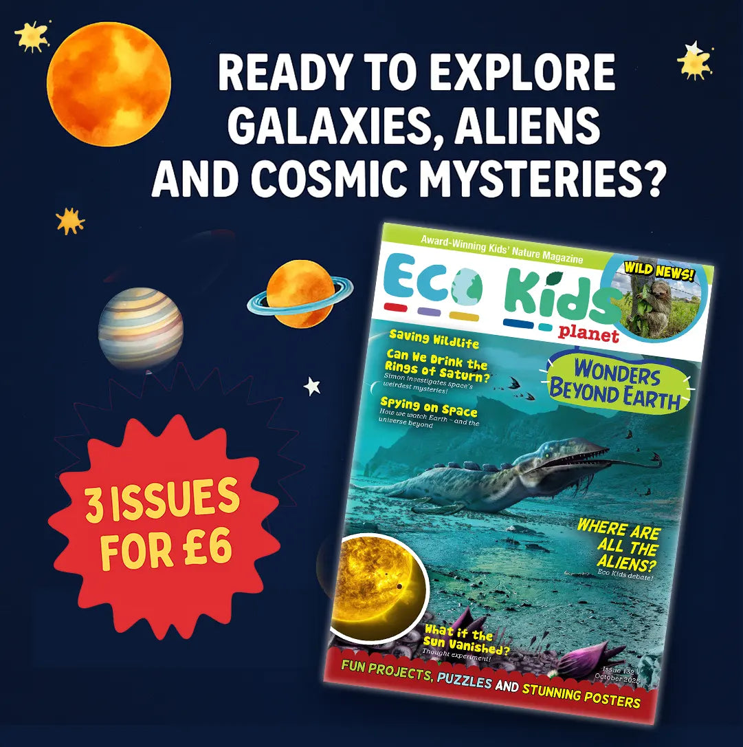 Magazine Subscription for Kids: Taster | Eco Kids Planet