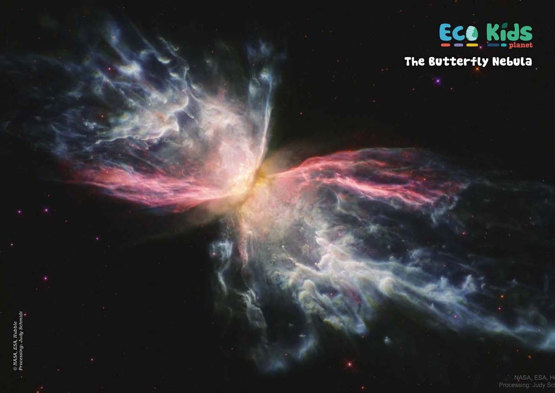 Eco Kids Planet – Issue 71 – Outer Space