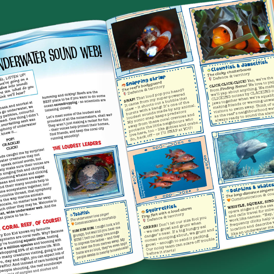 Kid&#39;s Nature Magazines – Issue 129-130 – Web of Life