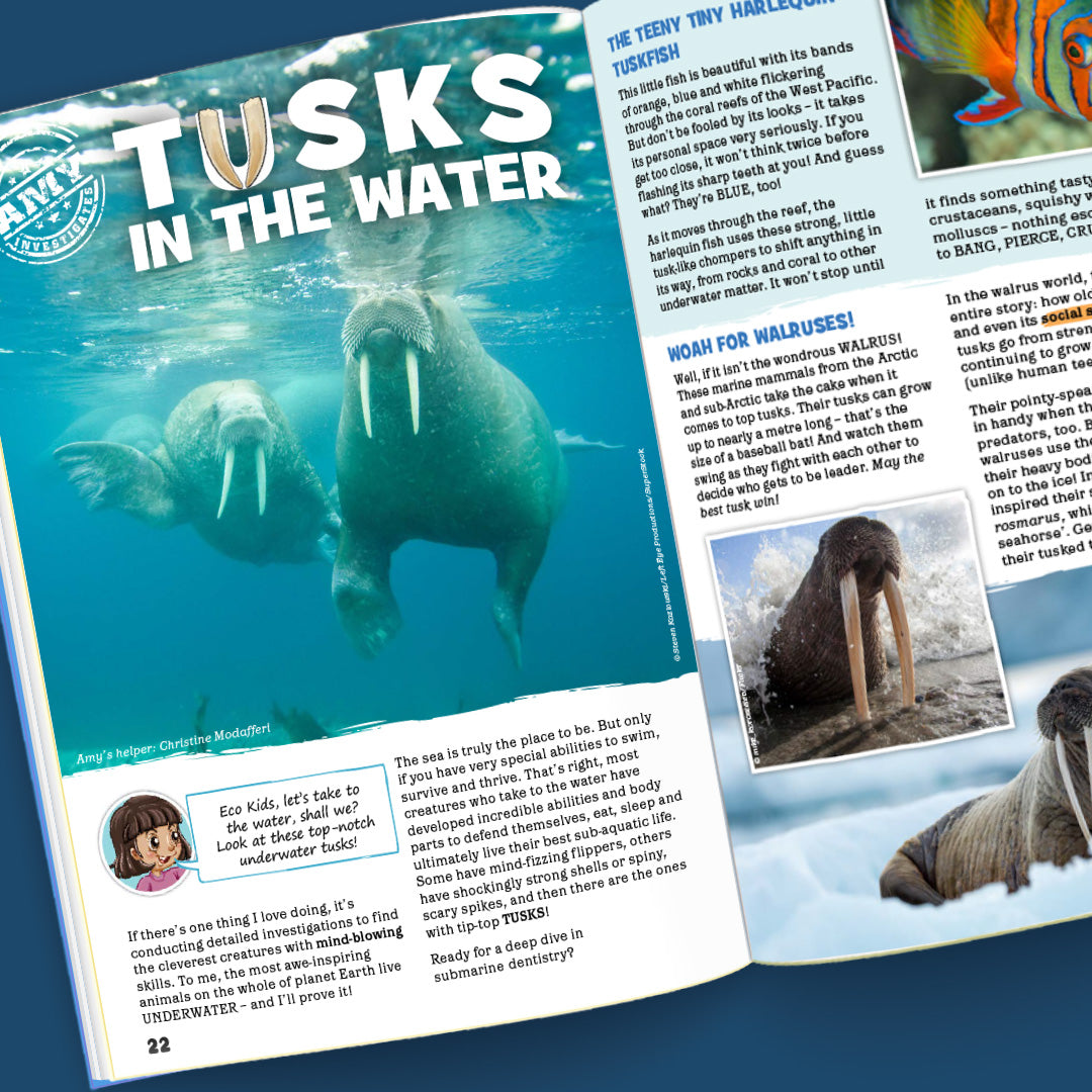 Kid&#39;s Nature Magazines – Issue 127 – Tusk Titans