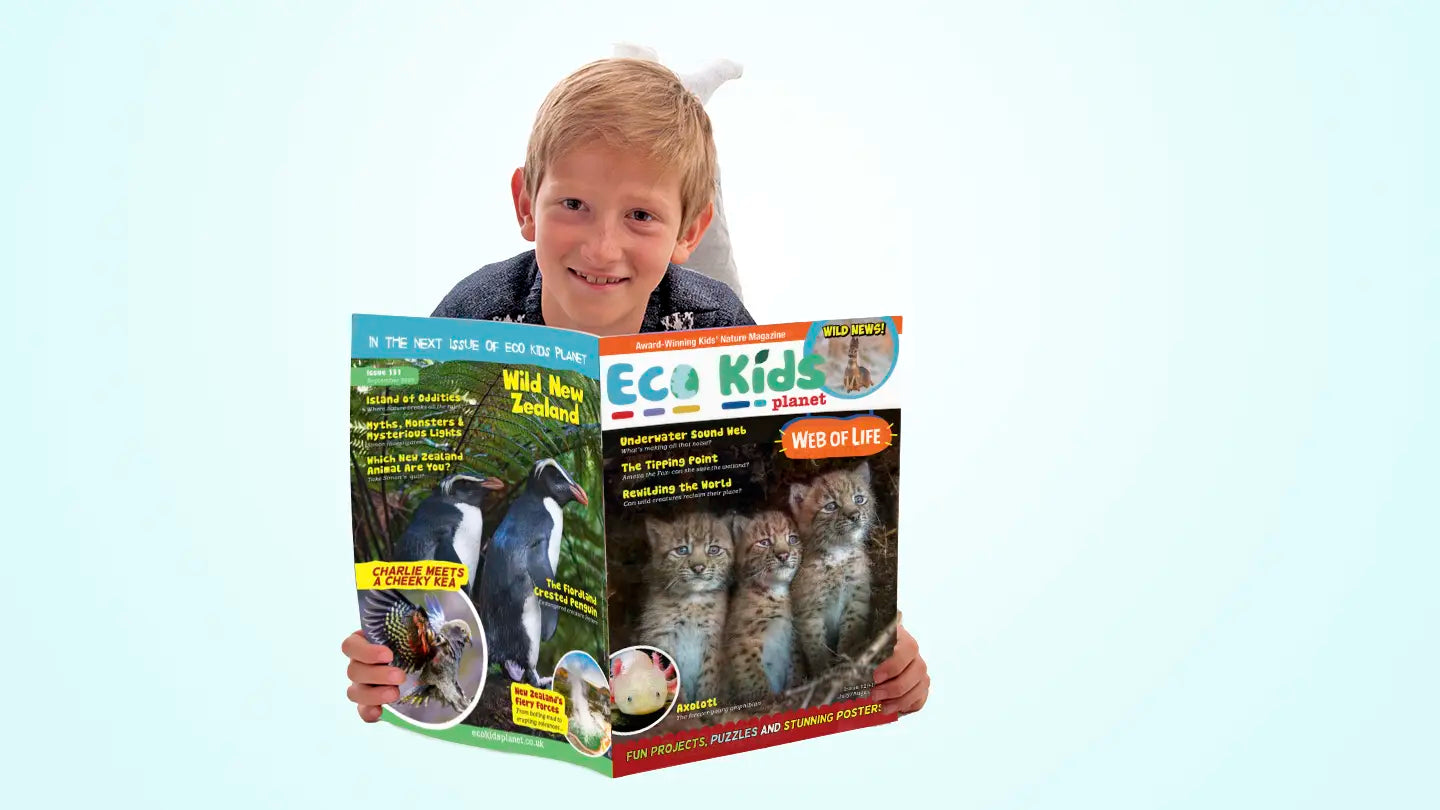Child reading Eco Kids Planet