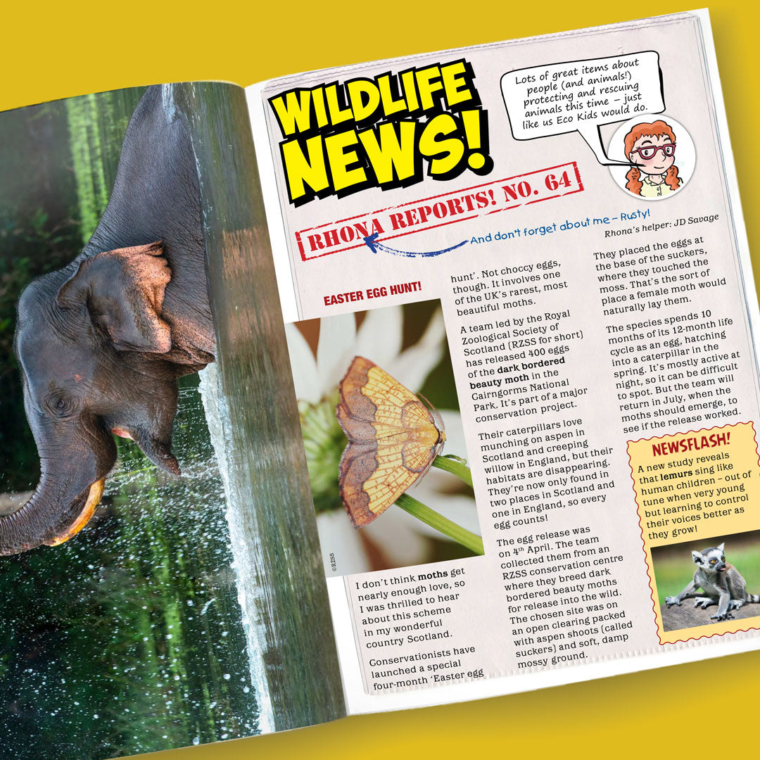 Kid&#39;s Nature Magazines – Issue 127 – Tusk Titans