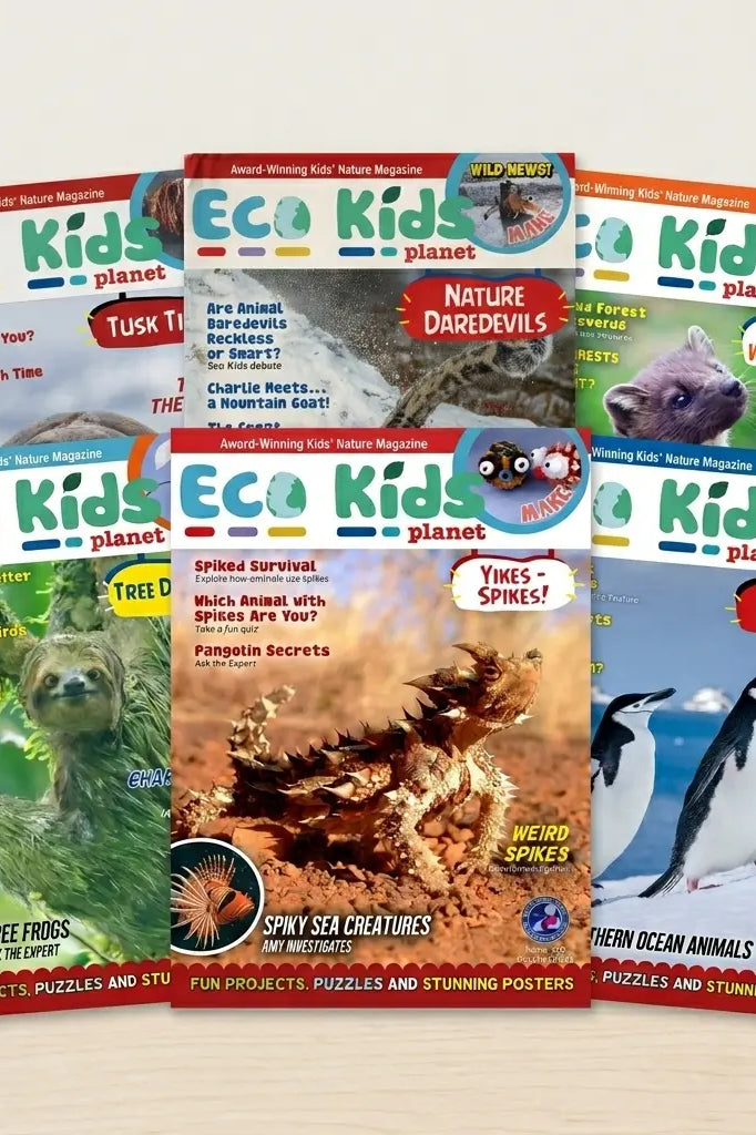 Eco Kids Planet  – Bundle of Six