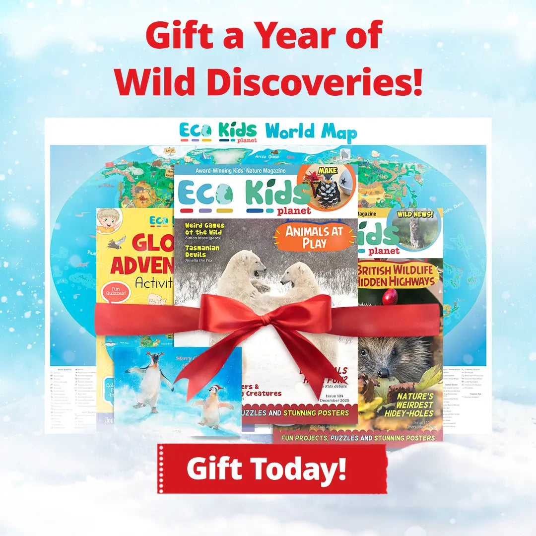 Magazine Subscriptions for Kids: Gift | Eco Kids Planet